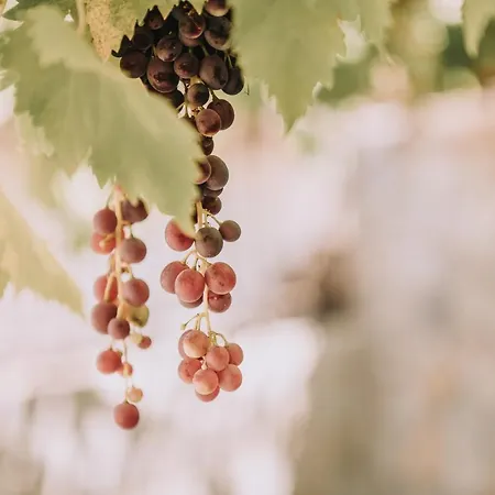 Villa Verdeblu Crete *