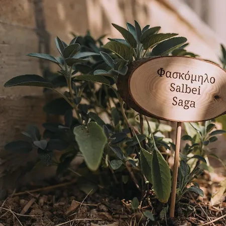 Verdeblu Crete Вилла