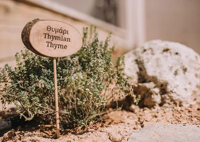 Вілла Verdeblu Crete *