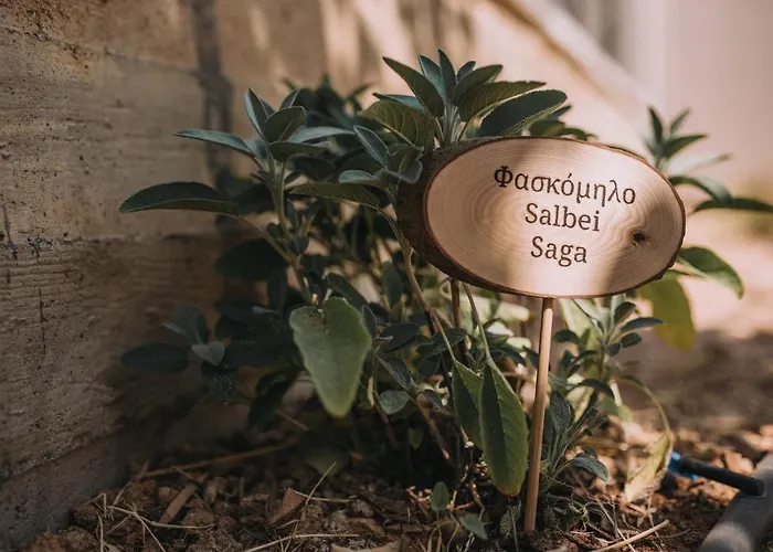 Verdeblu Crete Villa