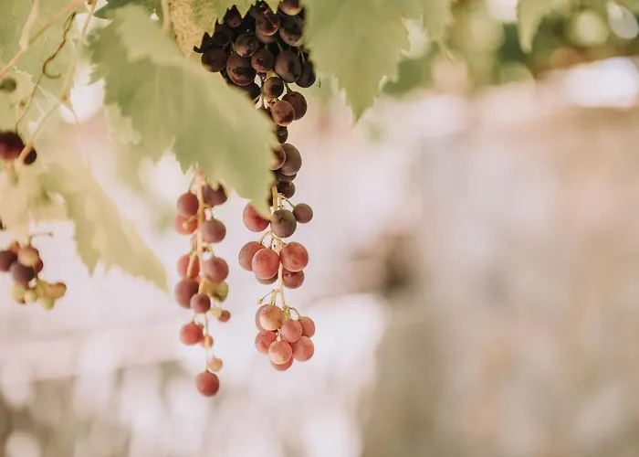 Вілла Verdeblu Crete *